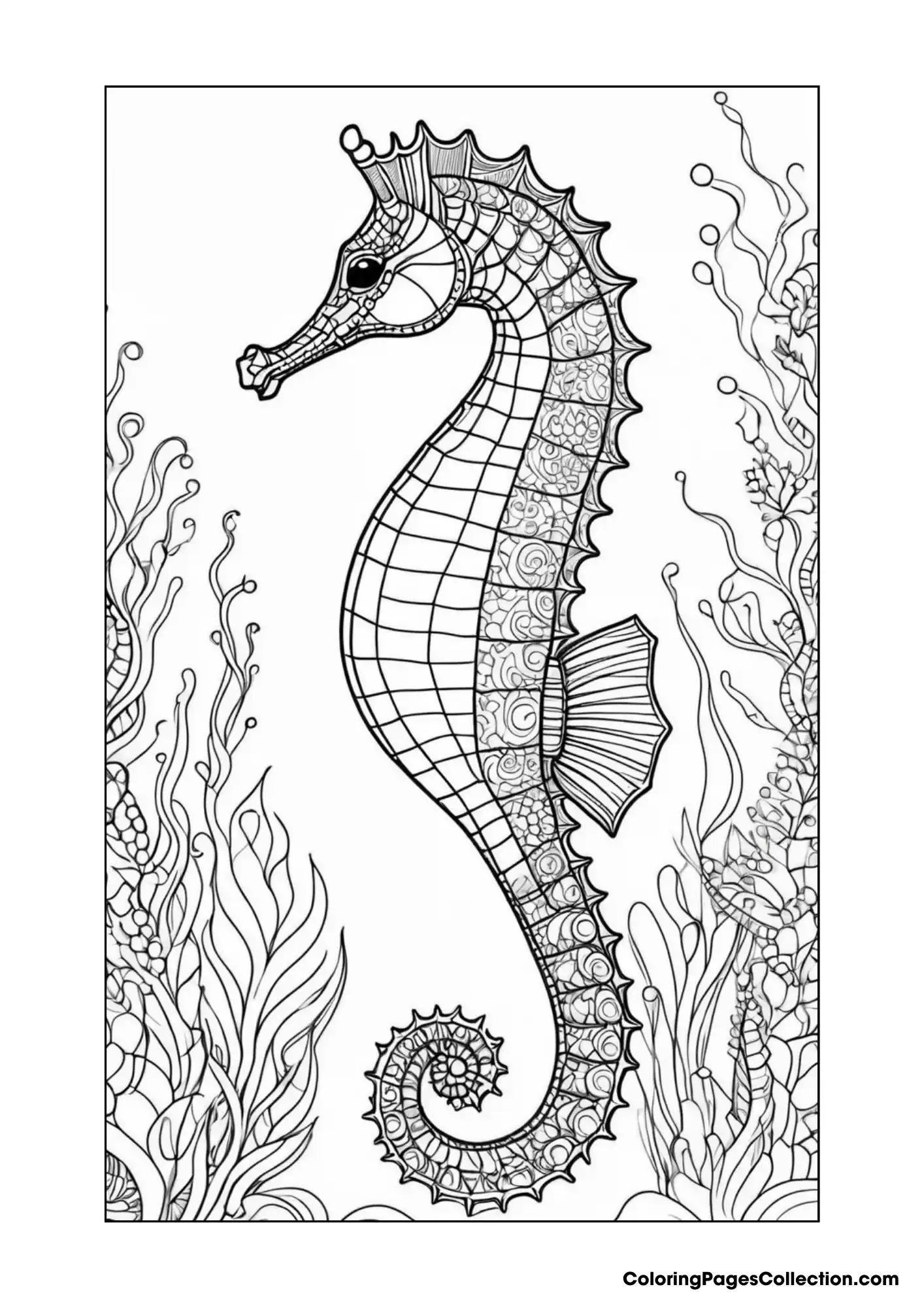 ocean coloring pages