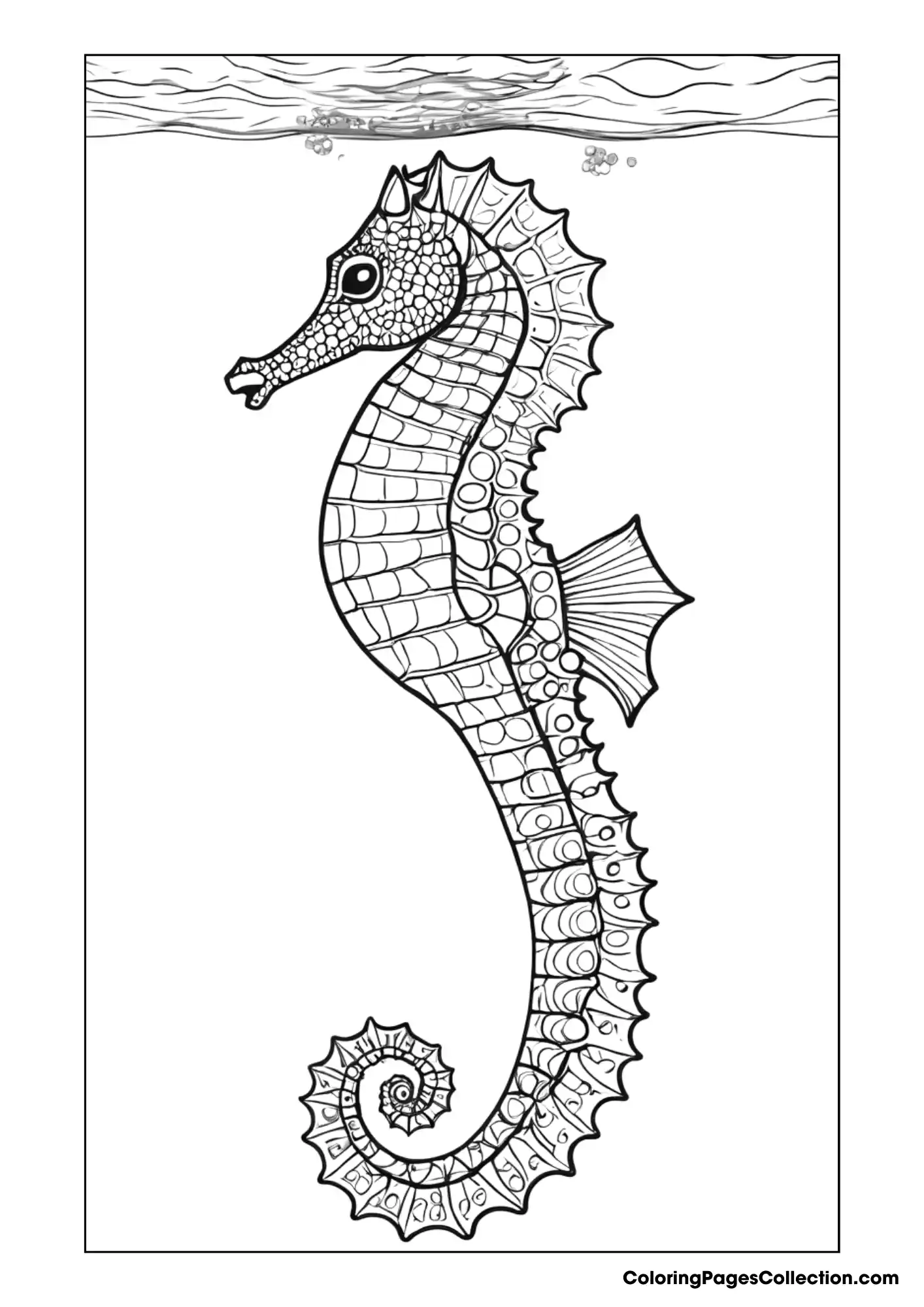 ocean coloring pages
