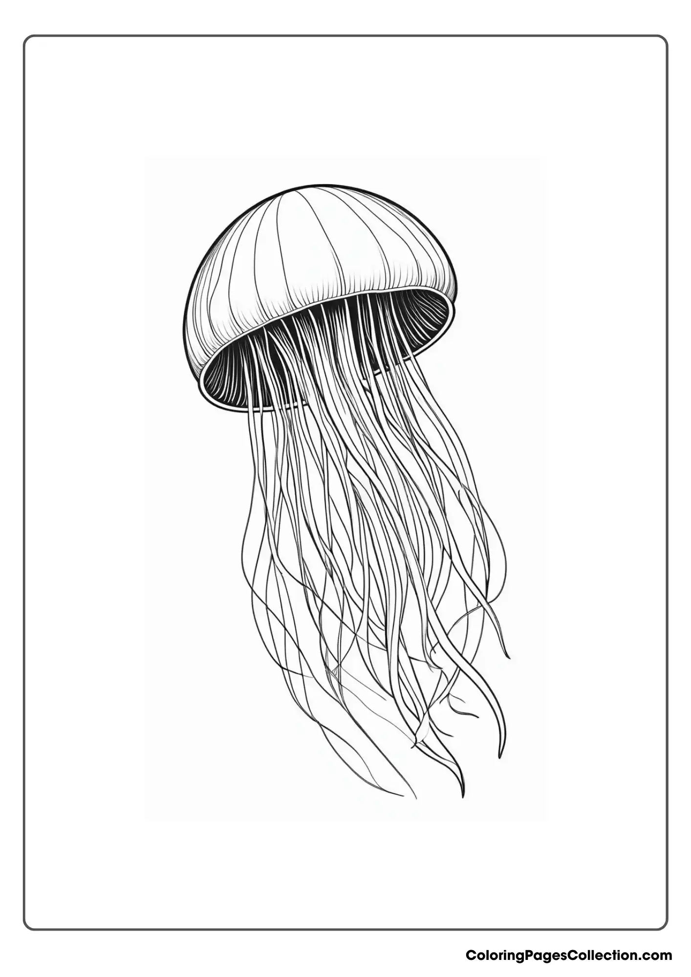 ocean coloring pages