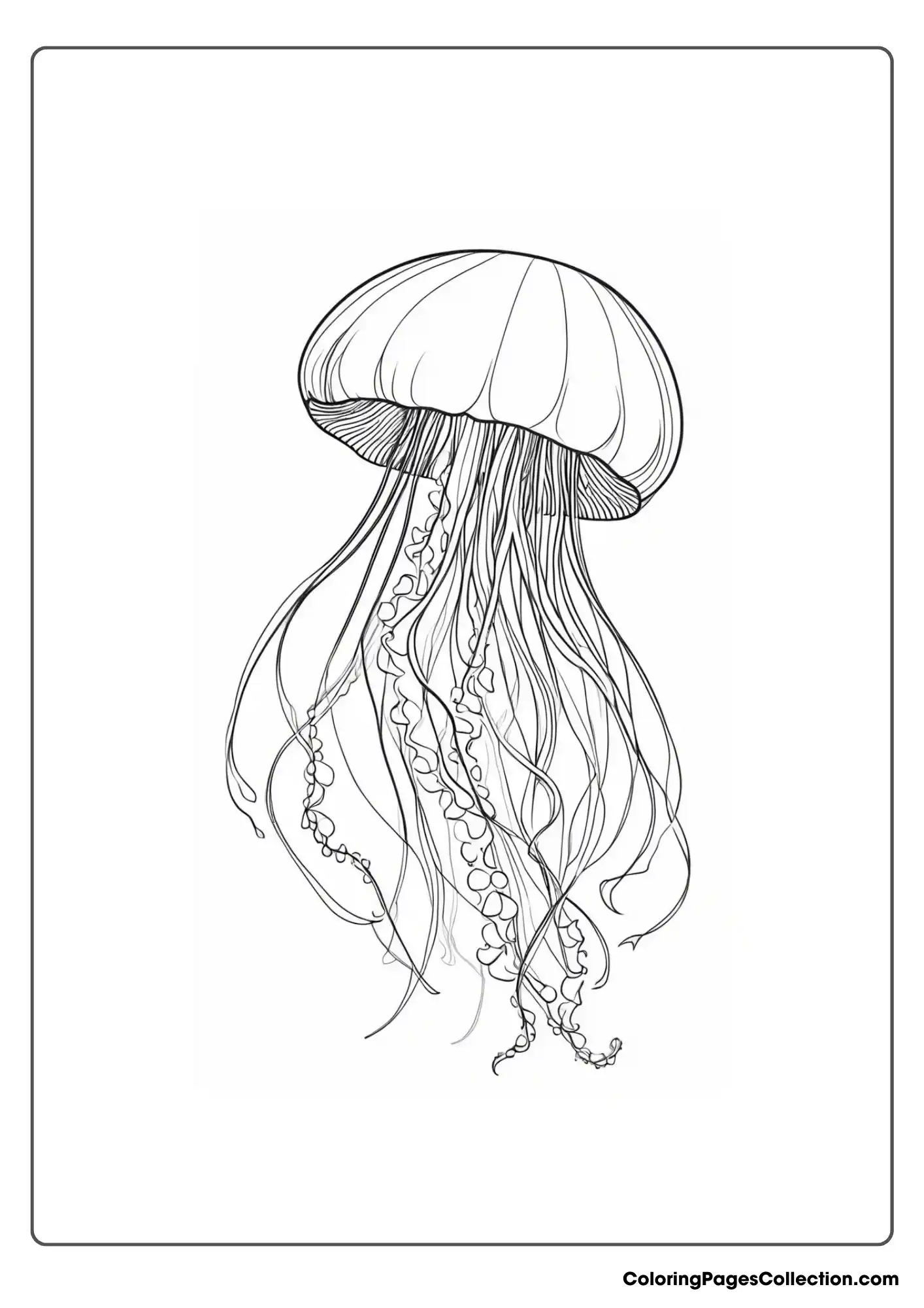 ocean coloring pages