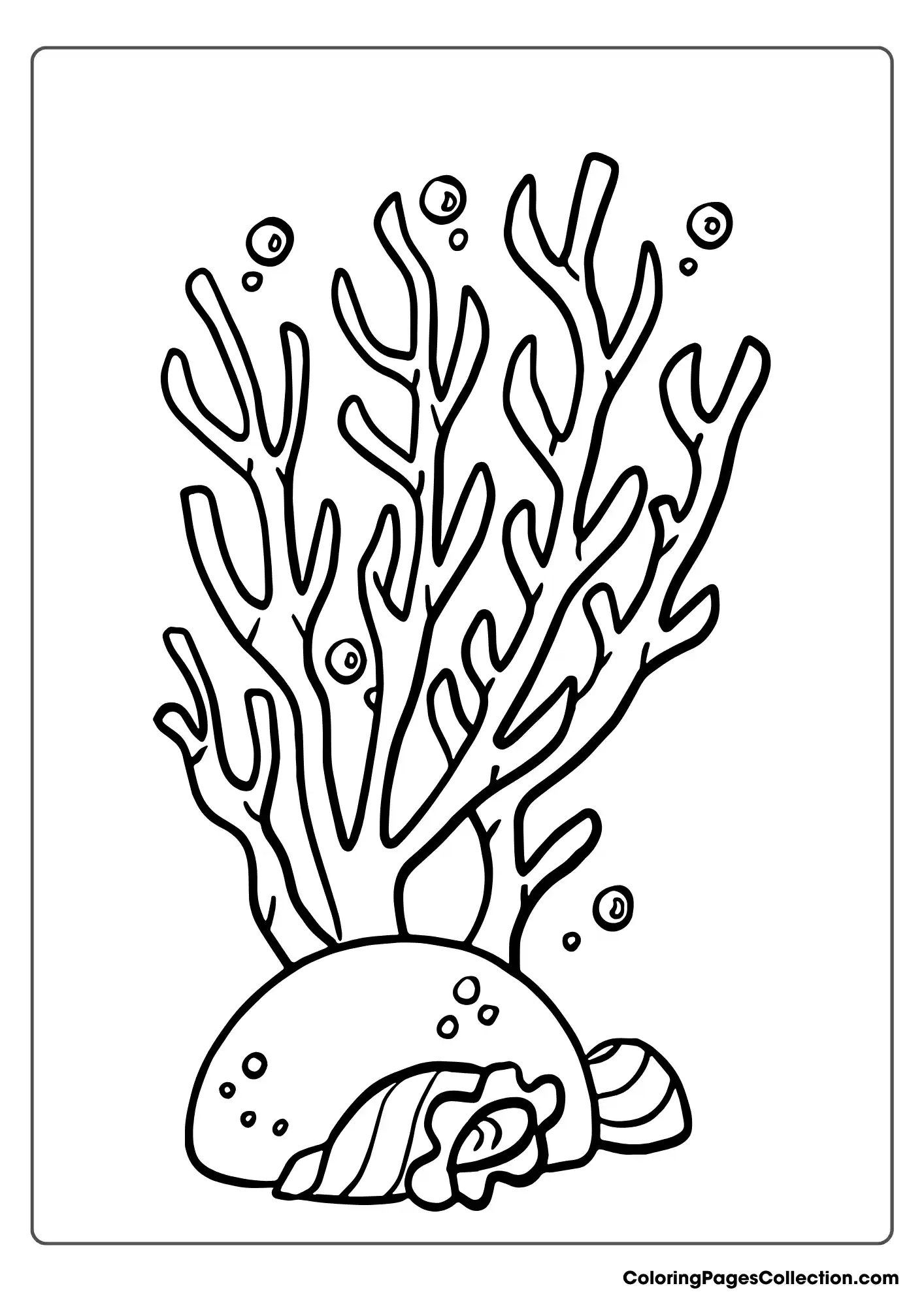 ocean coloring pages
