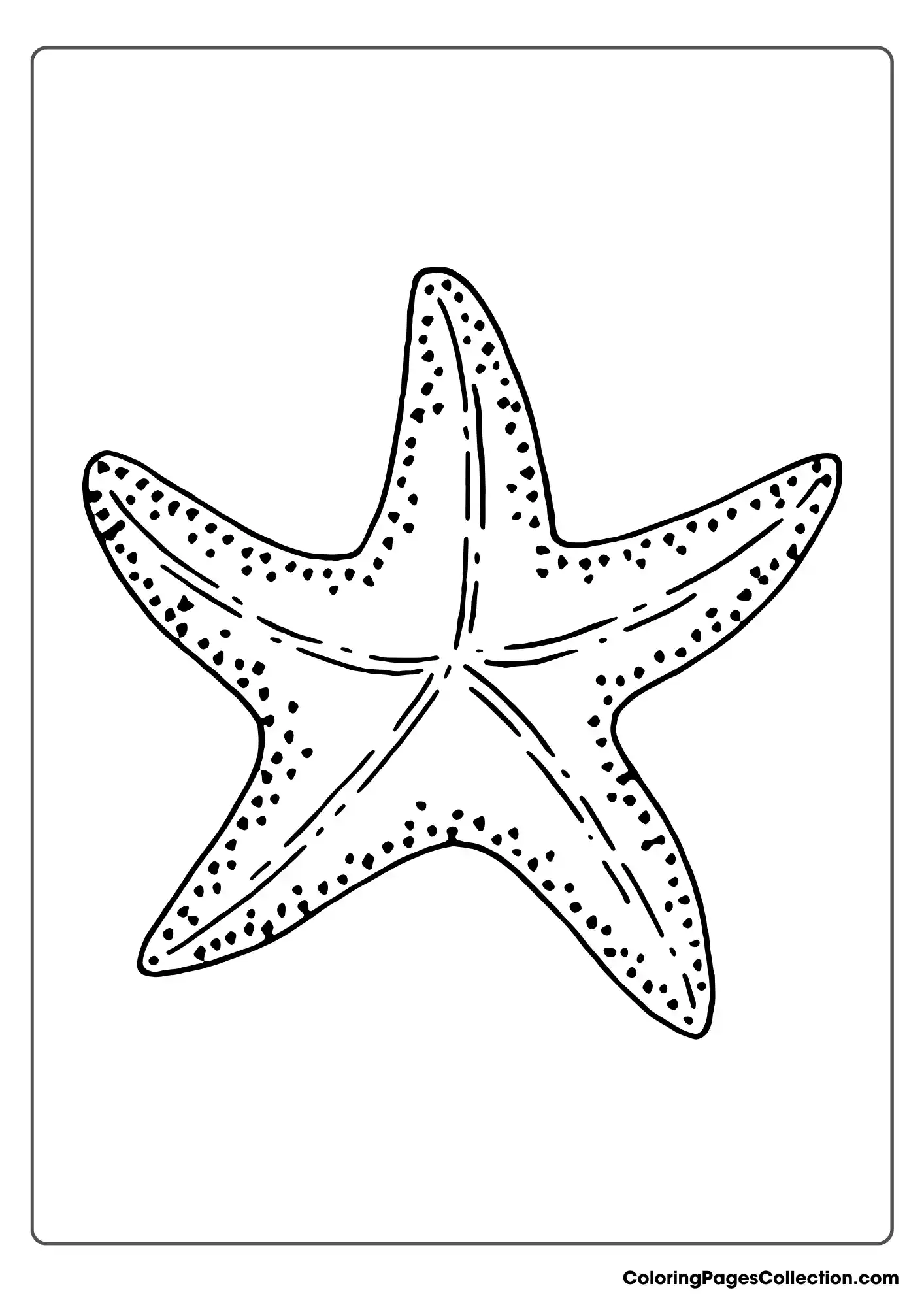 ocean coloring pages