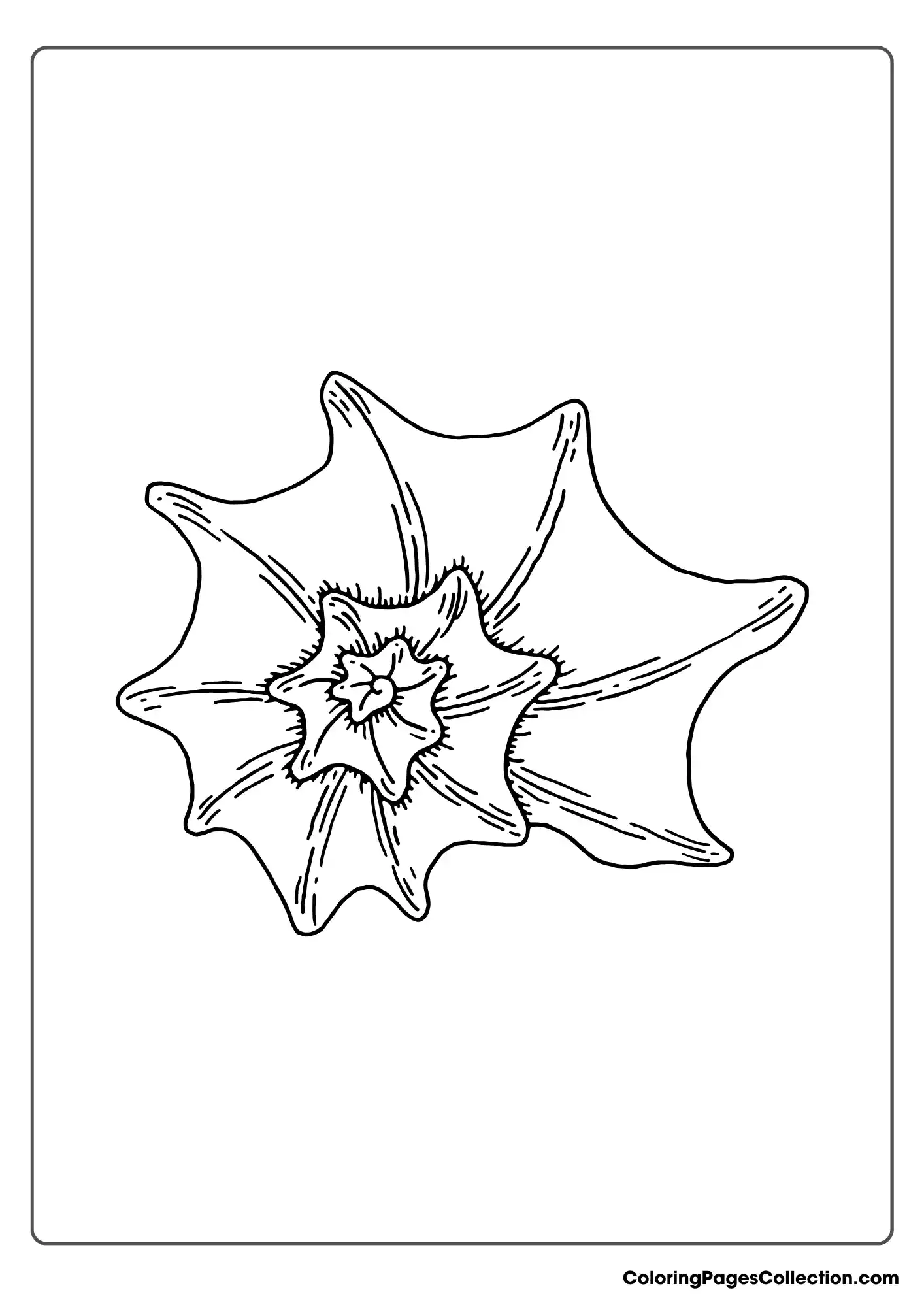 ocean coloring pages
