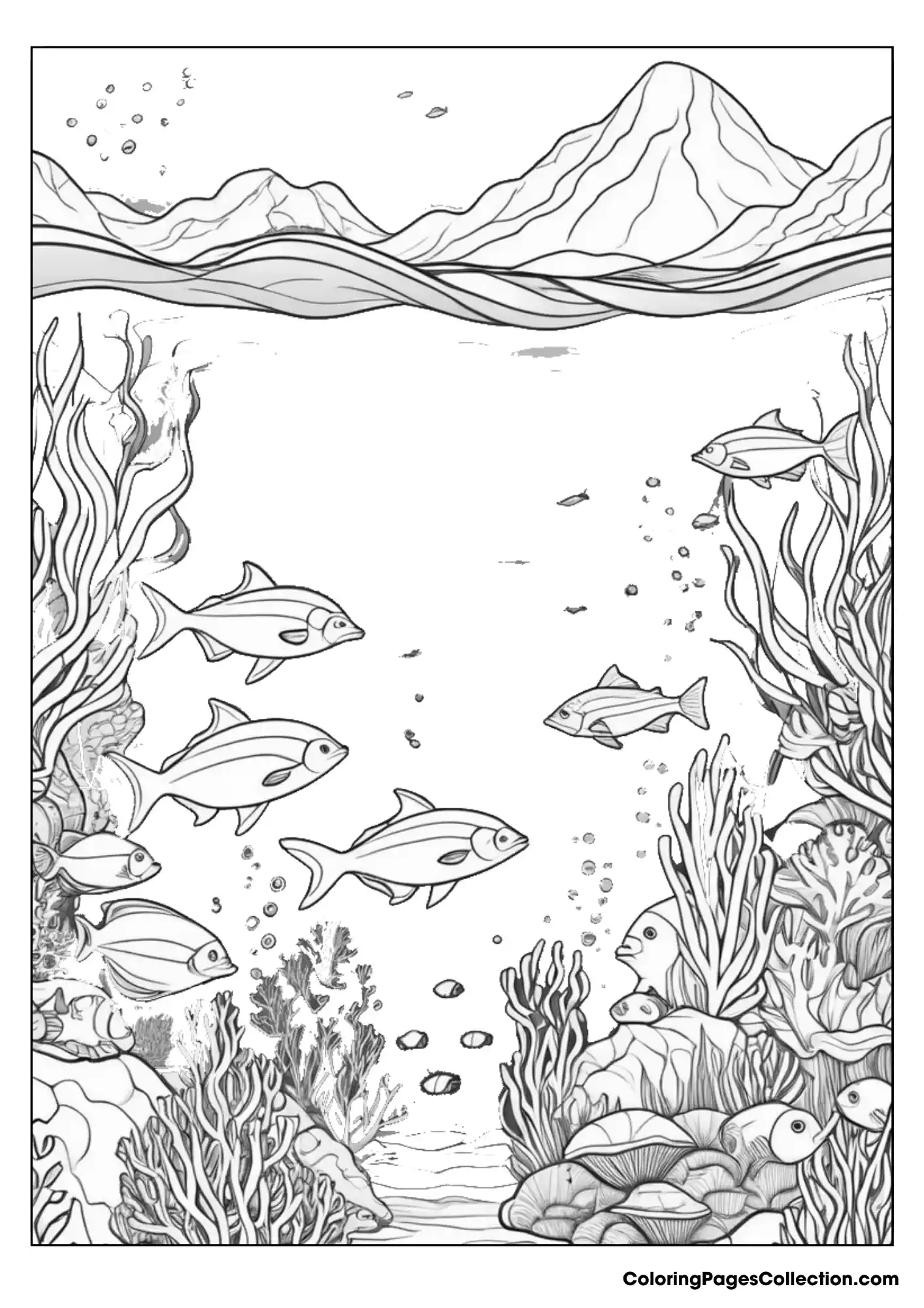 ocean coloring pages