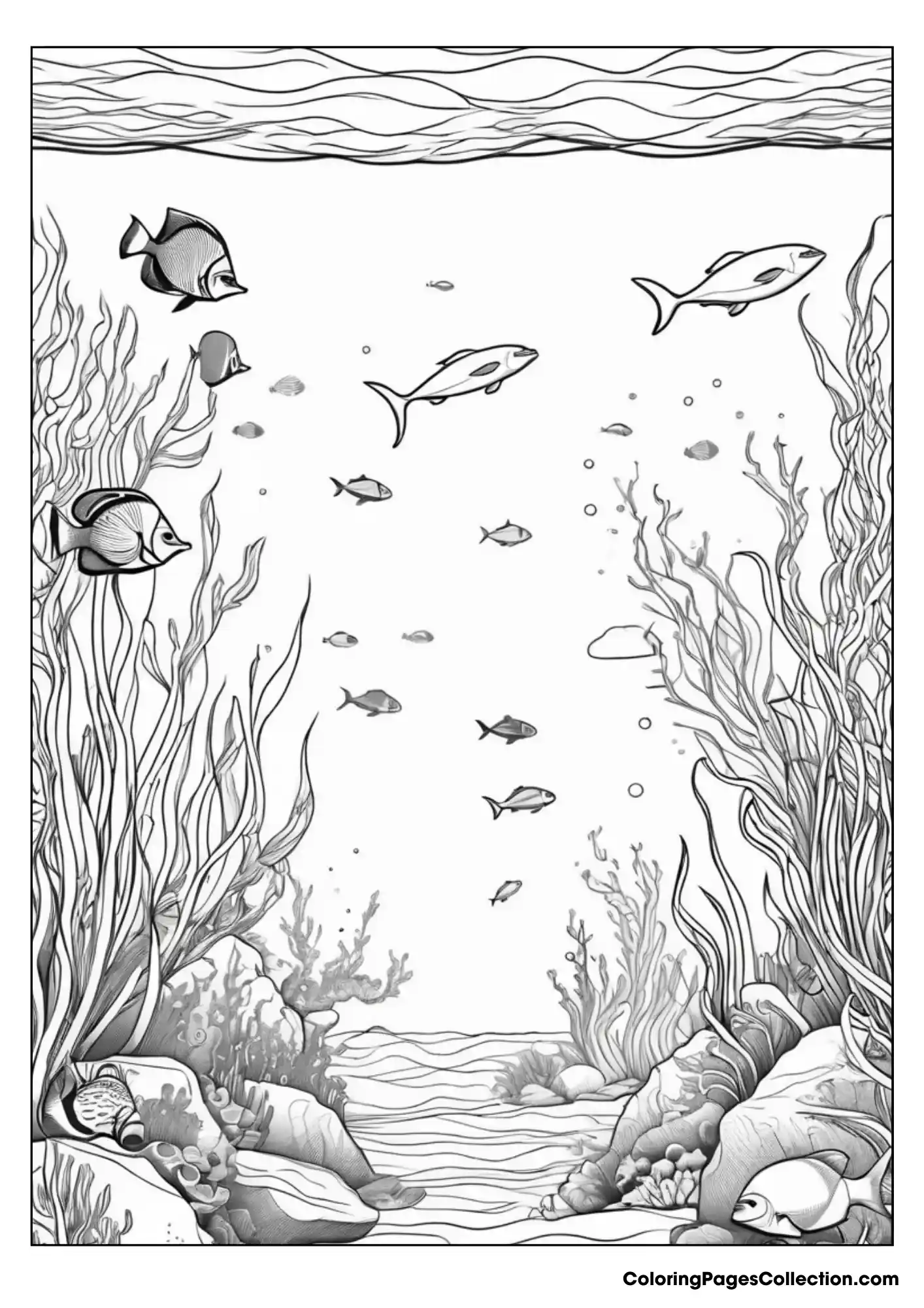 ocean coloring pages