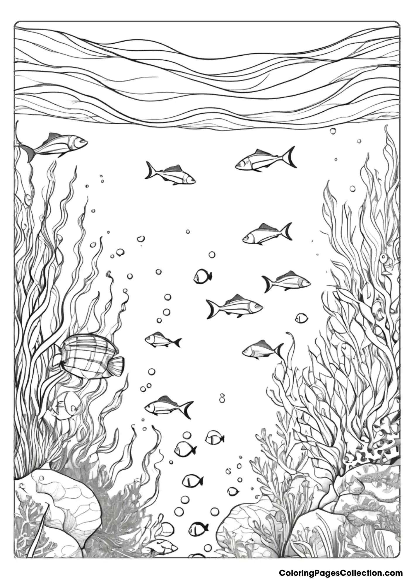 ocean coloring pages