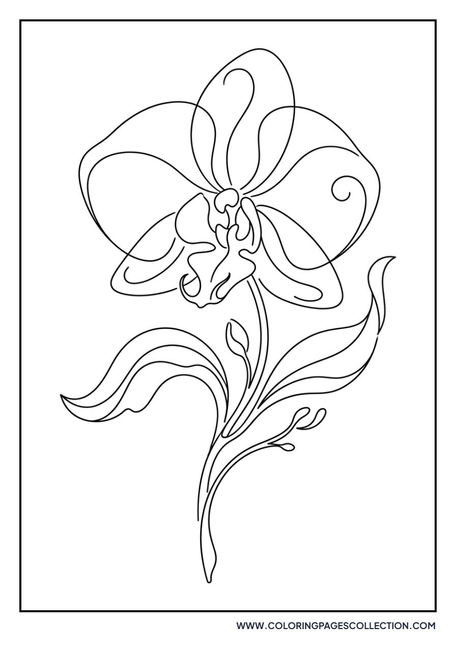 Abstract Orchid Art