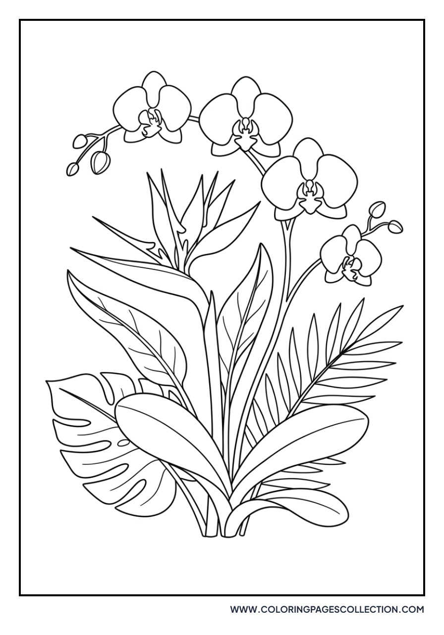 Bird of Paradise and Orchid