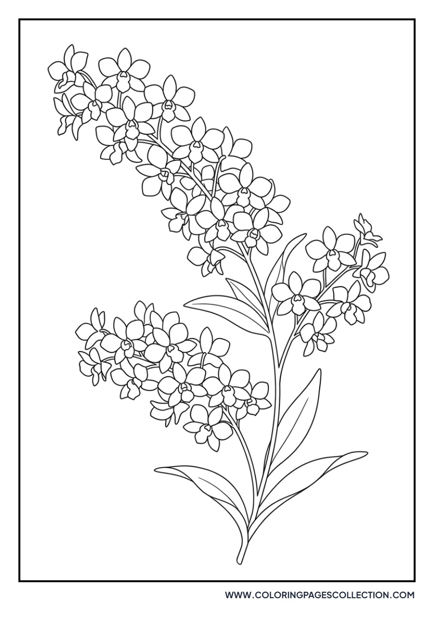 Dendrobium Orchid Spray