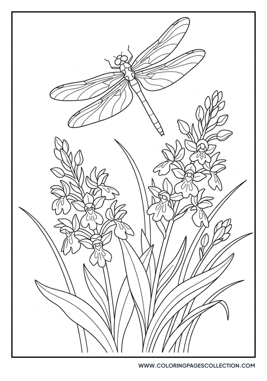 Dragonfly and Orchid