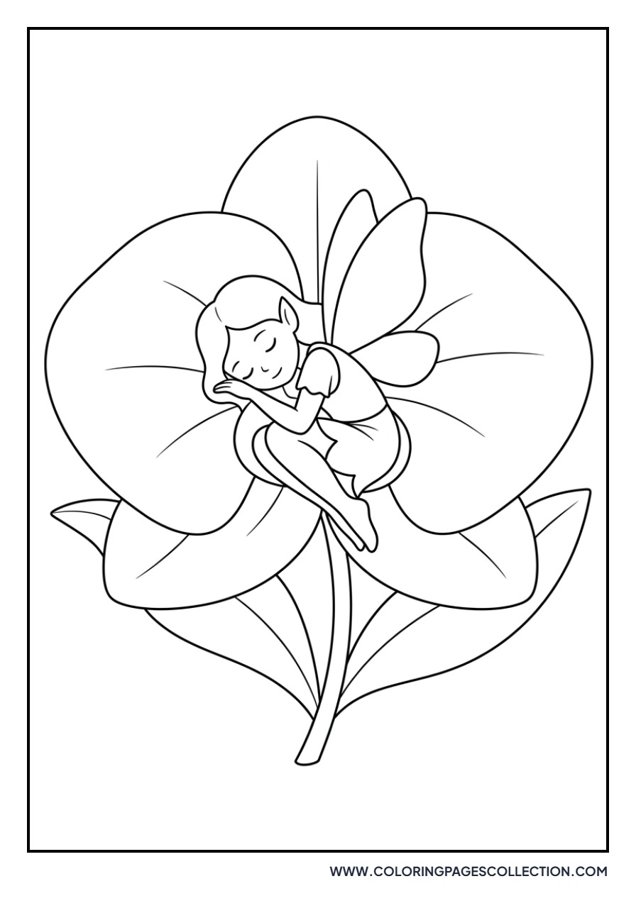 Fairy Sleeping on Orchid