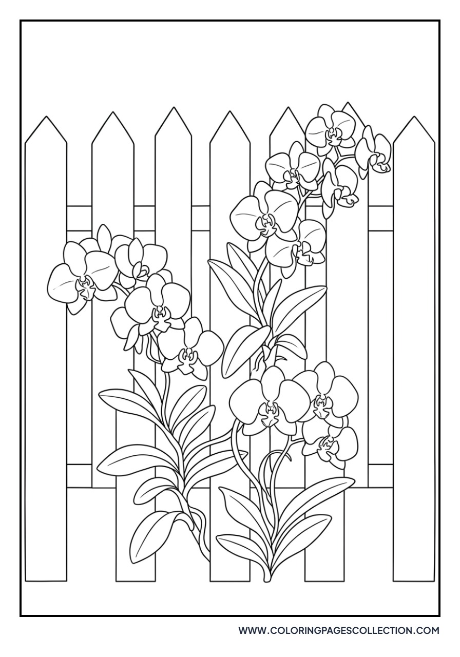 Garden Fence with Orchids
