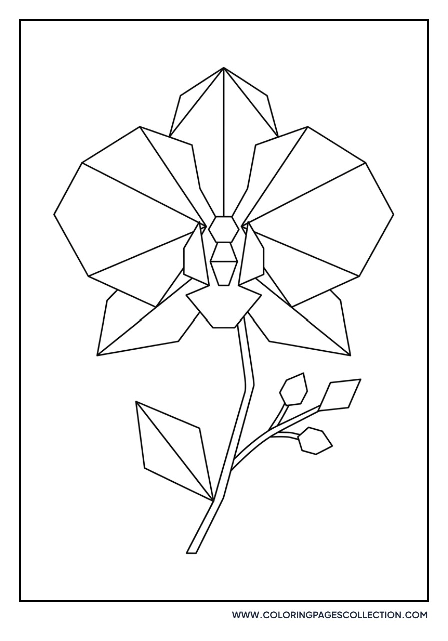 Geometric Orchid Design