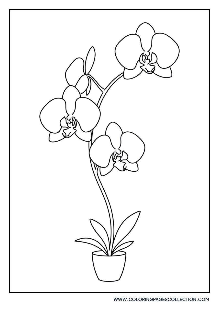 Modern Art Orchid