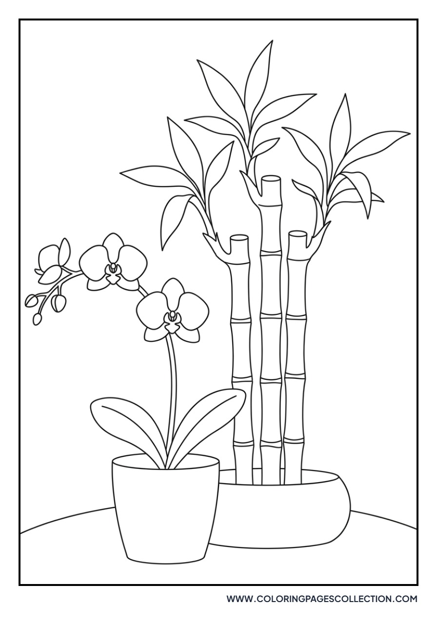 Orchid and Bamboo