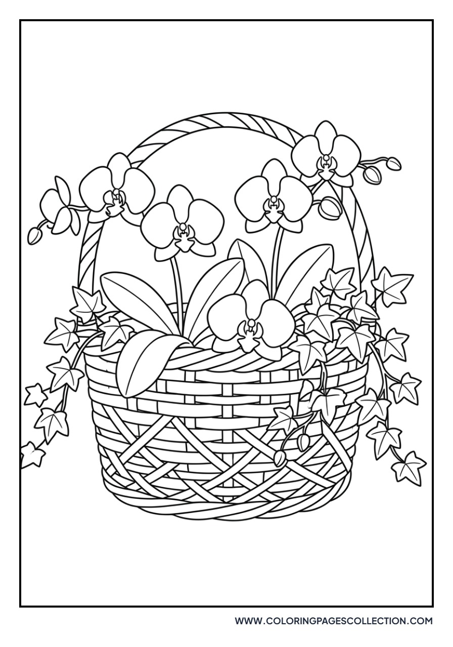 Orchid Basket Arrangement