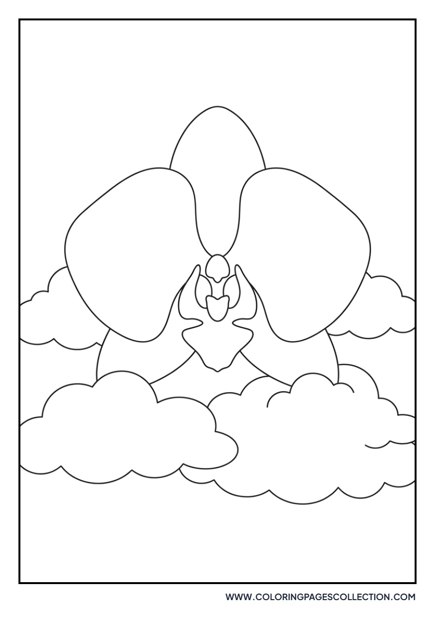 Orchid Floating on Clouds