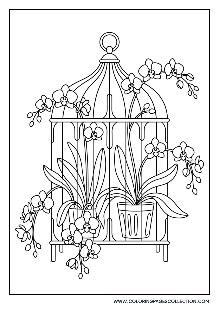Orchid in a Birdcage