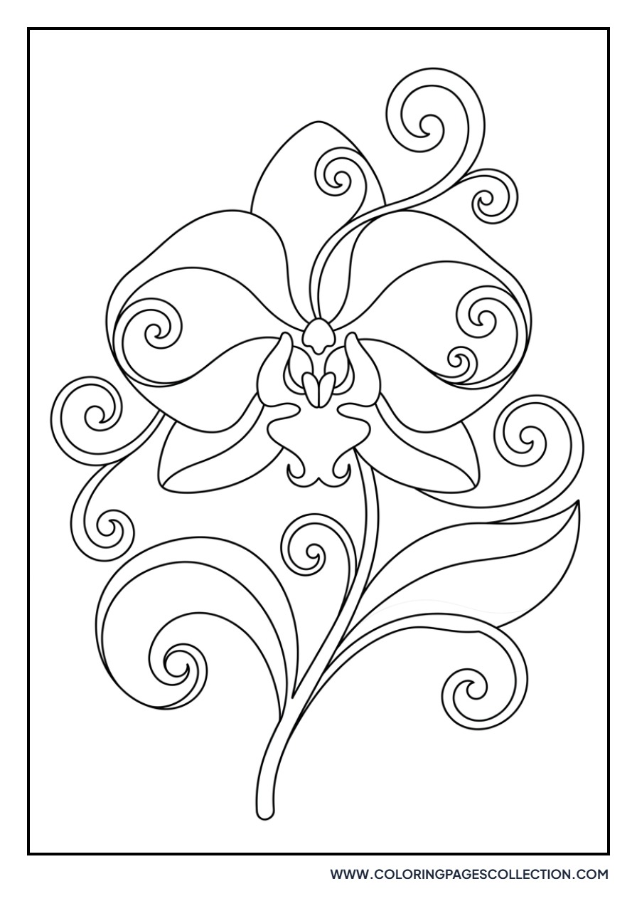 Orchid Petal Swirls