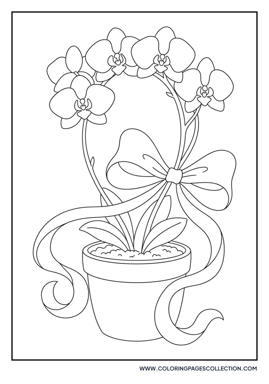 Orchid with Ribbons