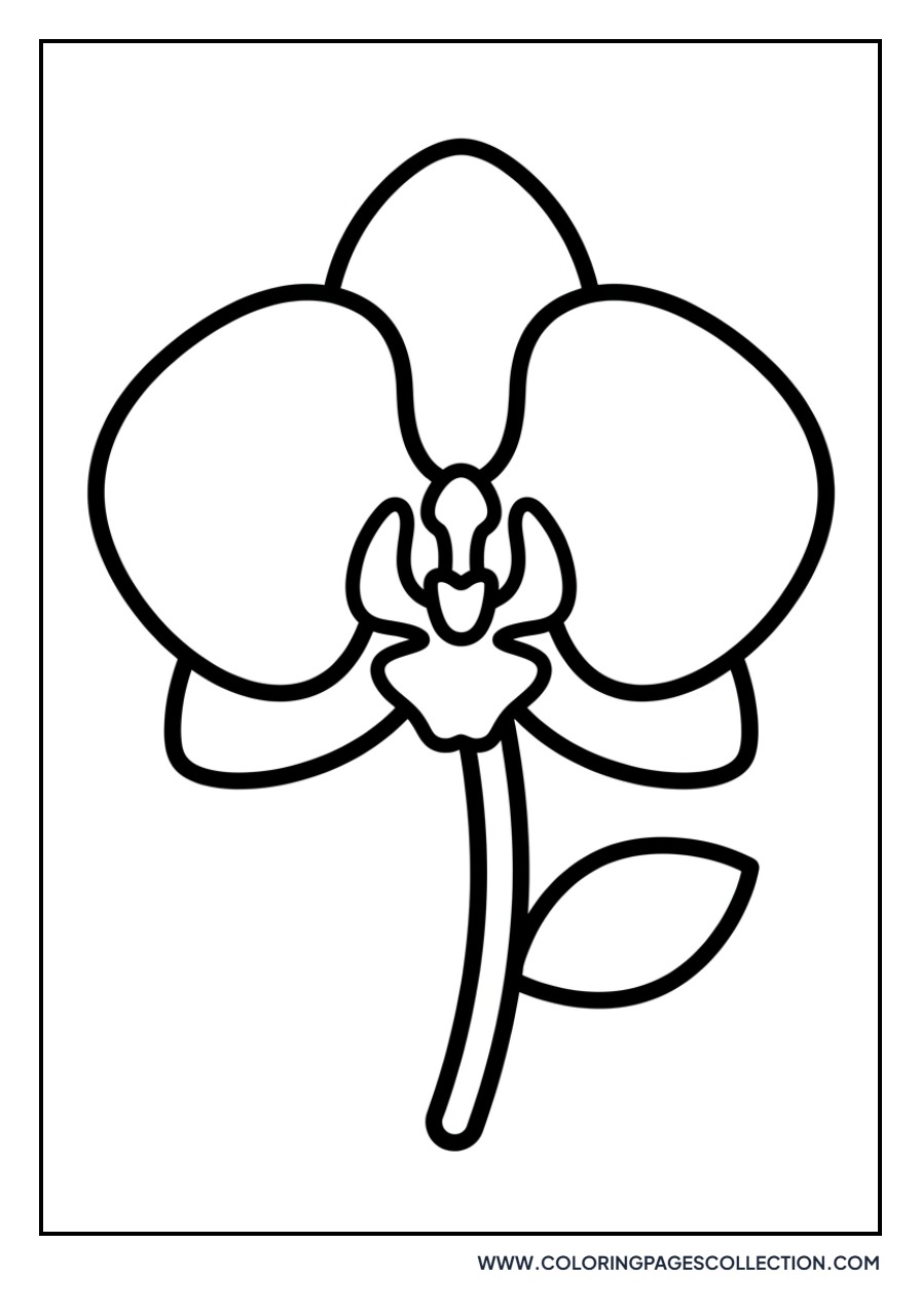 Simple Orchid for Toddlers