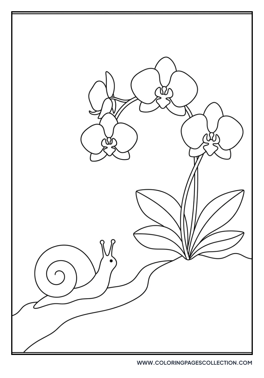 Snail Near Orchid Pot