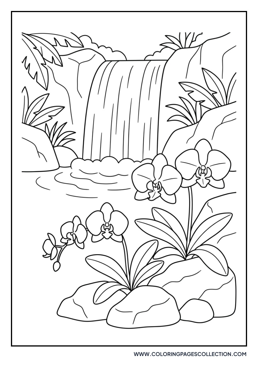 Waterfall and Wild Orchids