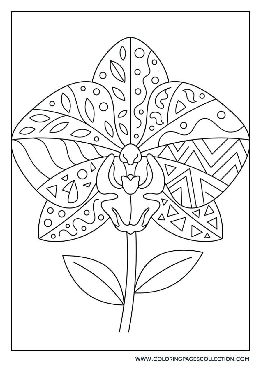 Zentangle Orchid Petals