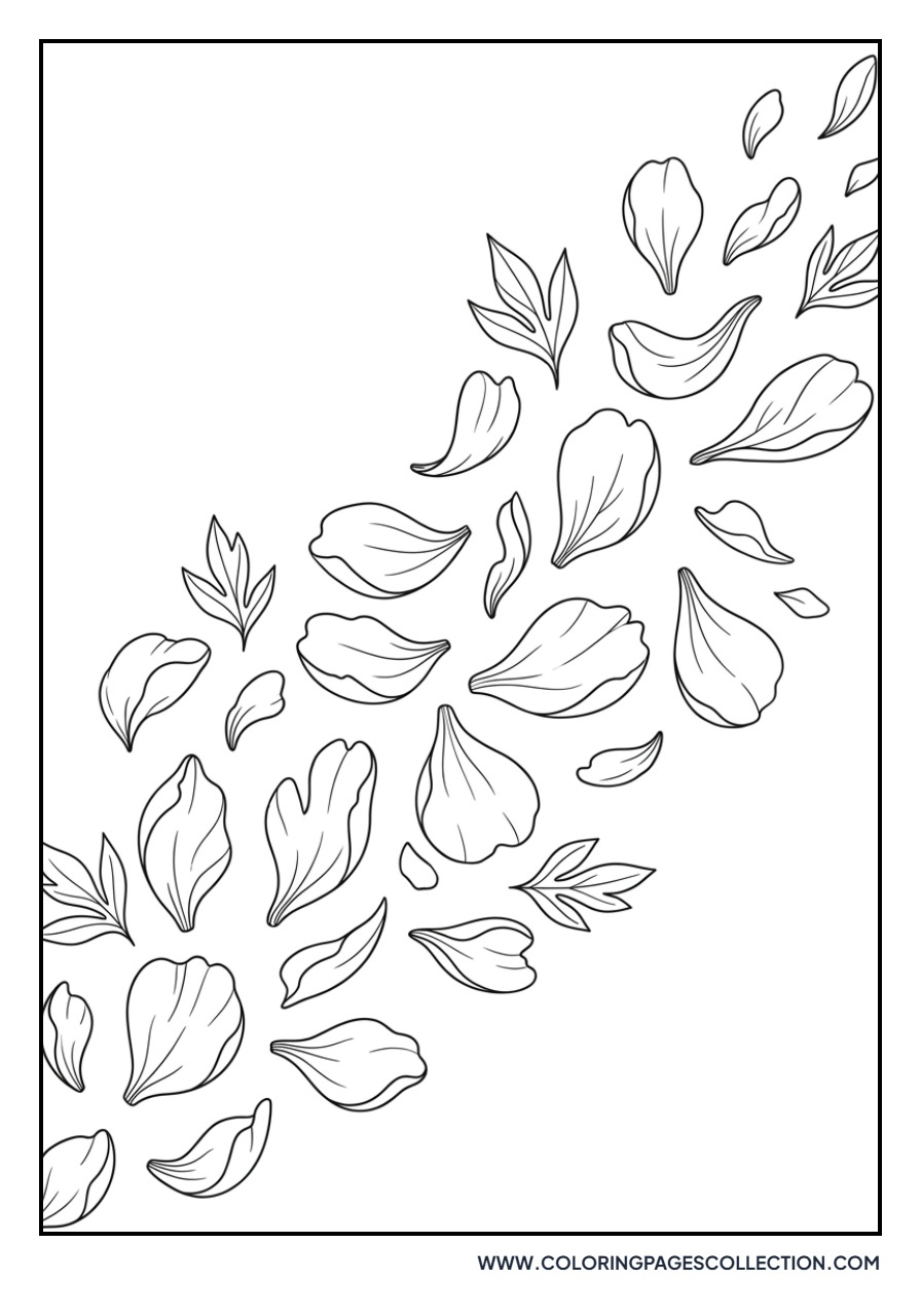 Floating Peony Petals
