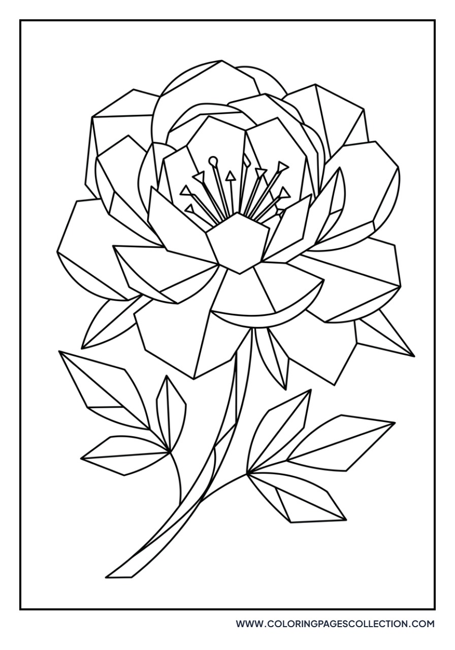 Geometric Peony Shapes