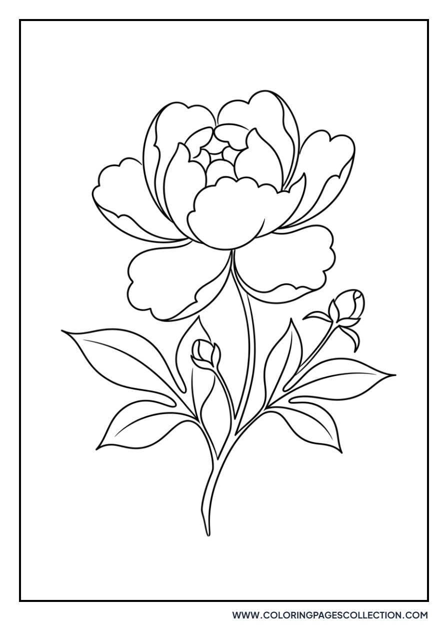 Japanese Styled Peony