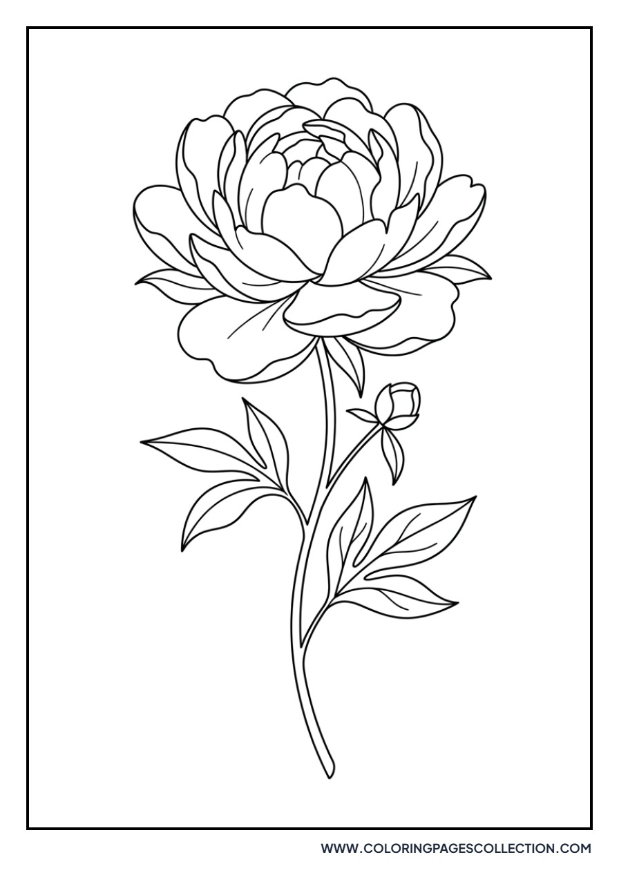 Ornate Peony Stem
