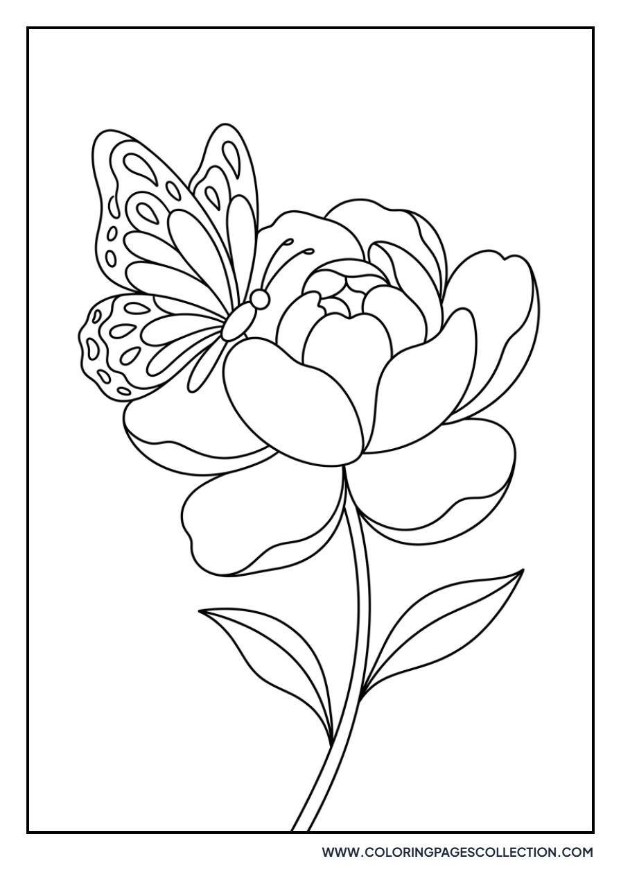 Peony and Butterfly Scene