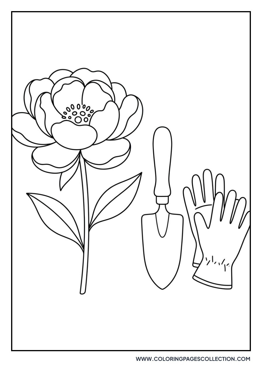 Peony and Garden Tools
