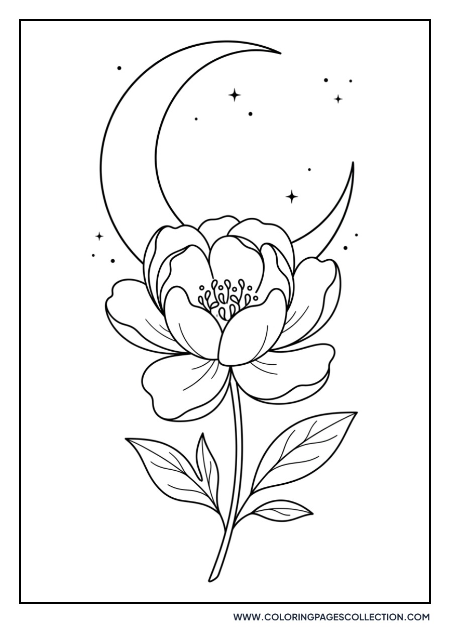 Peony and Moon