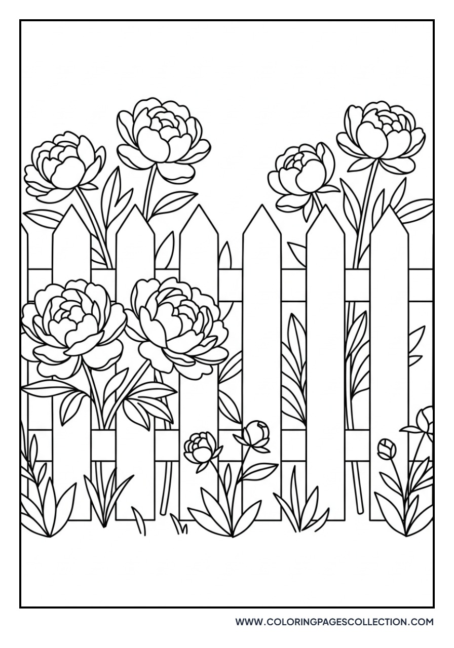 Peony and Picket Fence