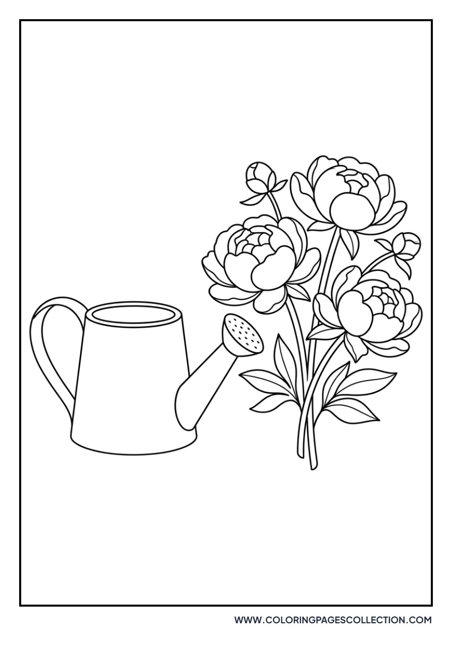 Peony and Watering Pot