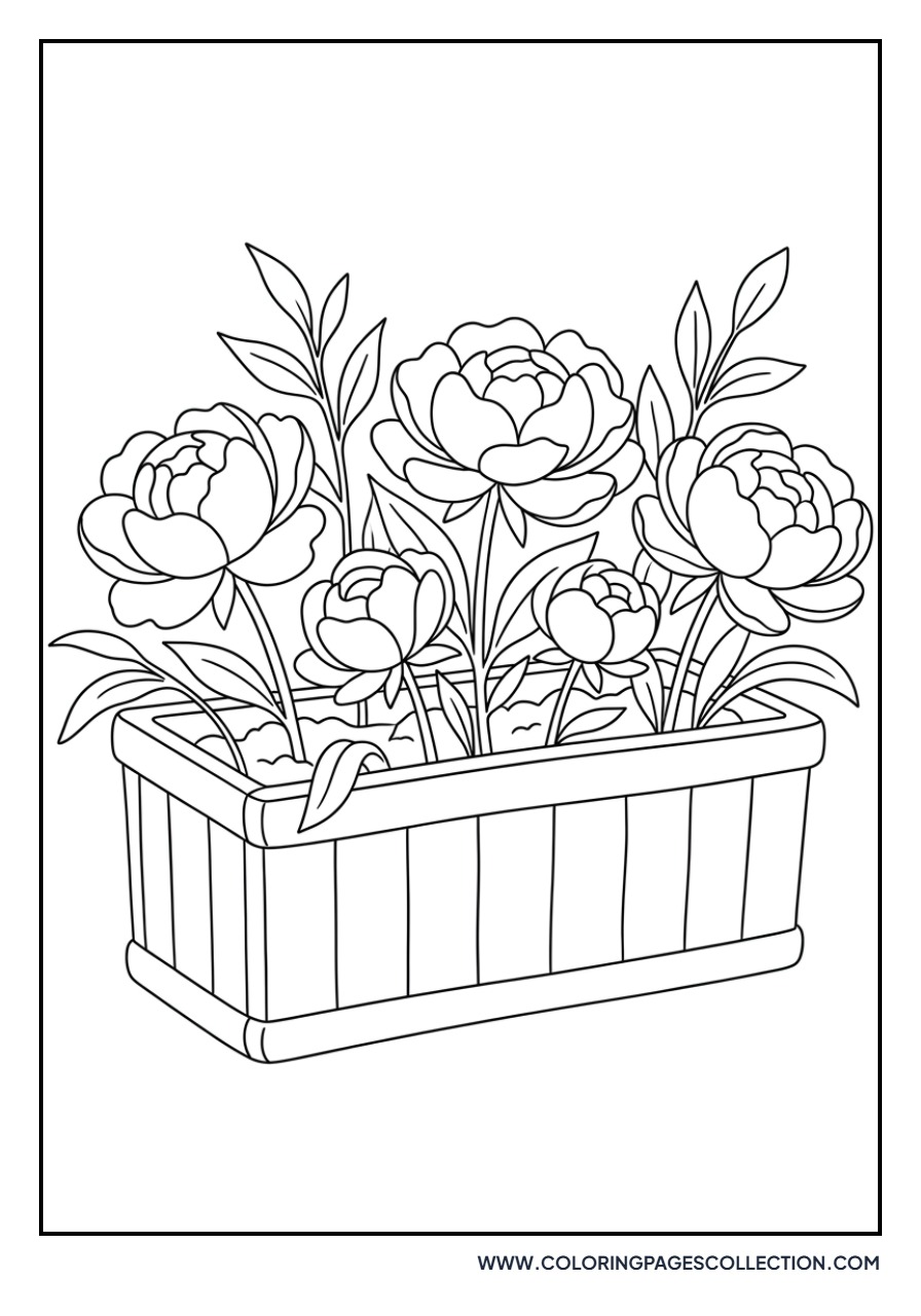 Peony Window Box