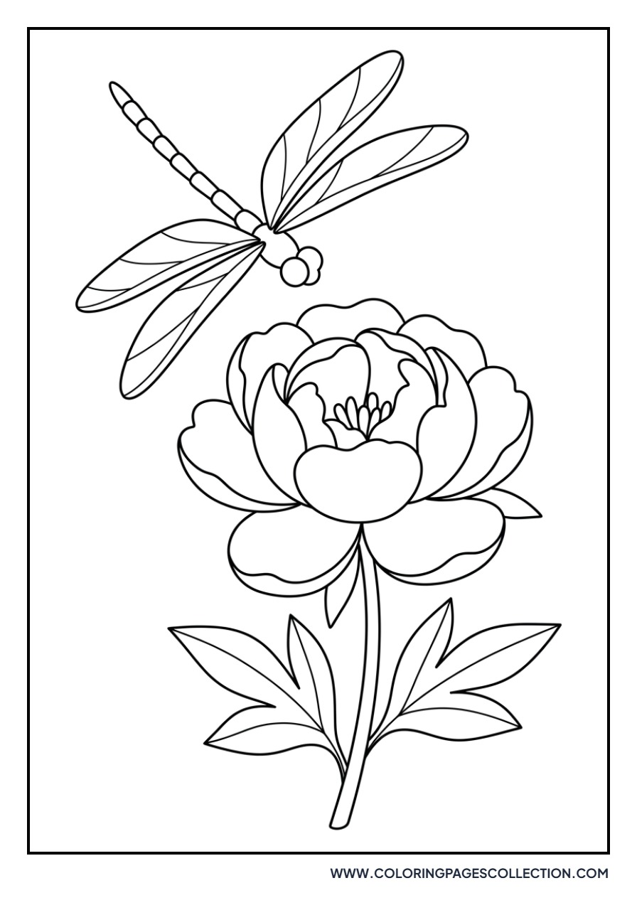 Peony with Dragonfly