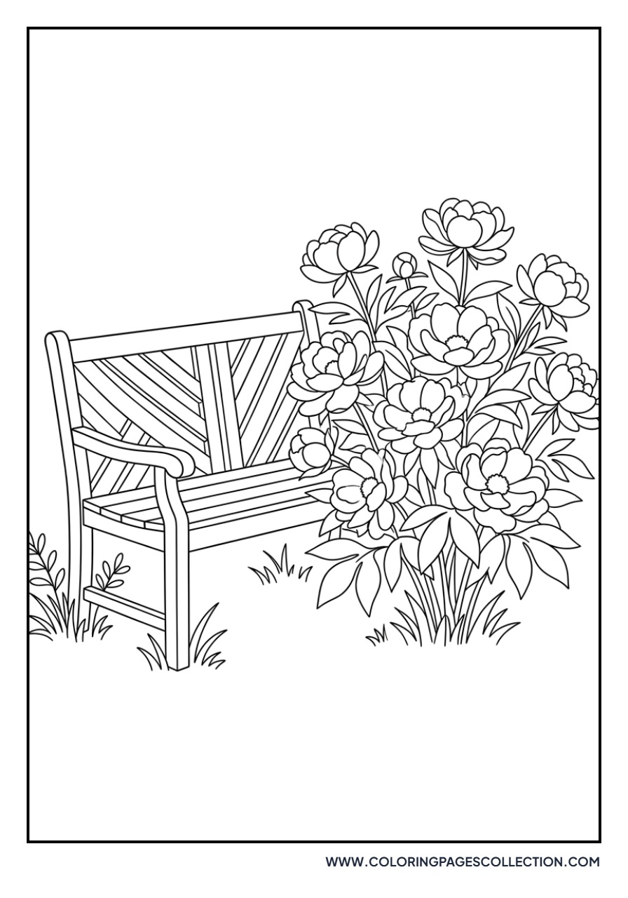 Peony with Garden Bench