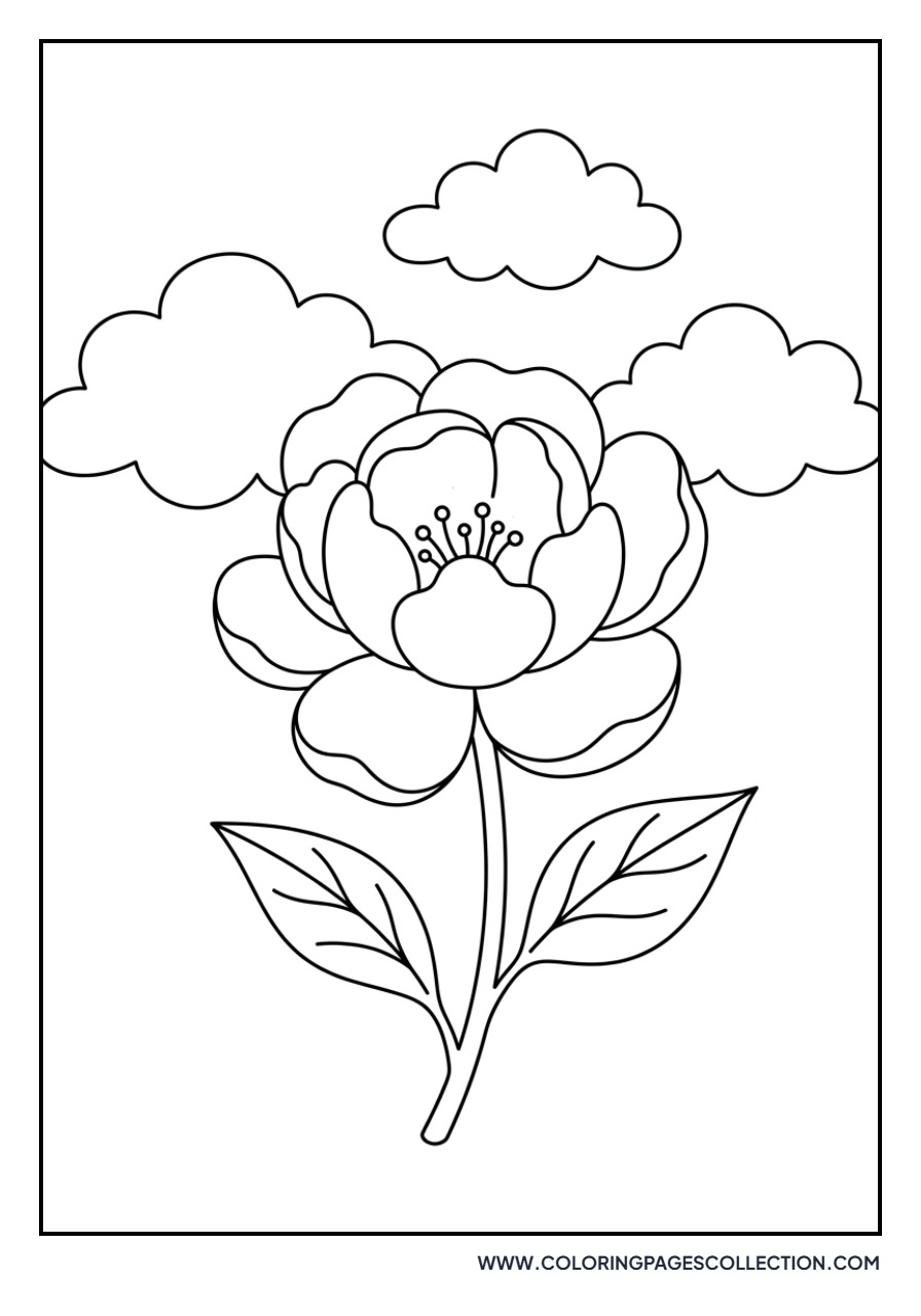 Peony with Soft Clouds