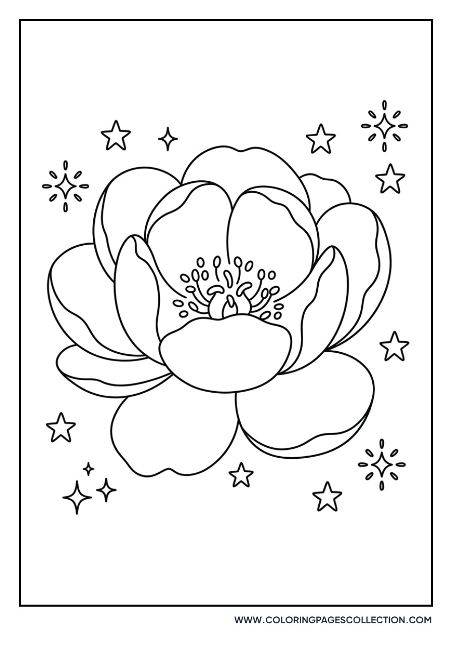 Peony with Sparkles