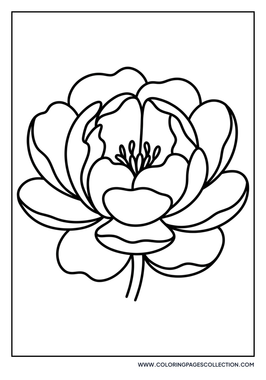 Simple Peony for Kids