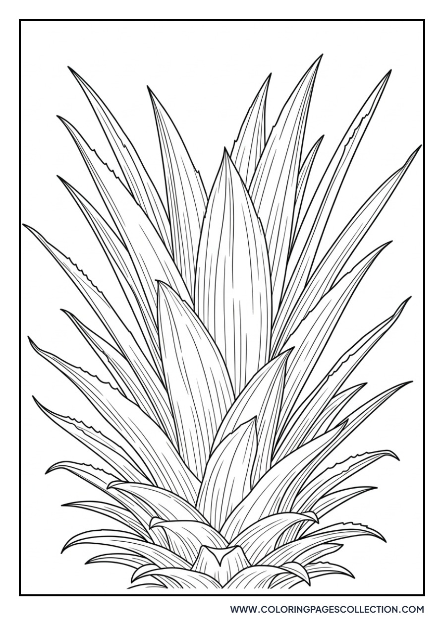 Detailed Pineapple Leaves