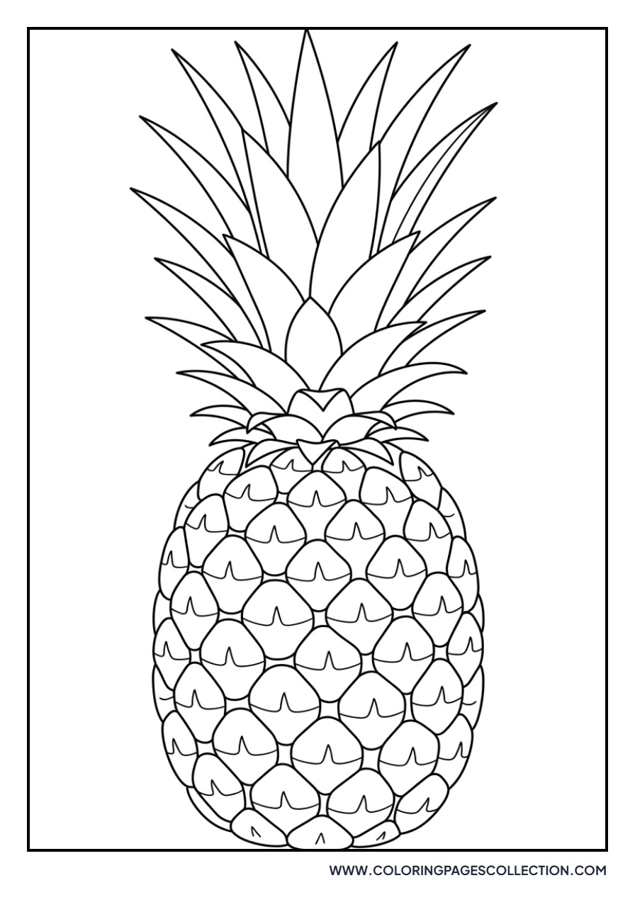 Realistic Botanical Pineapple