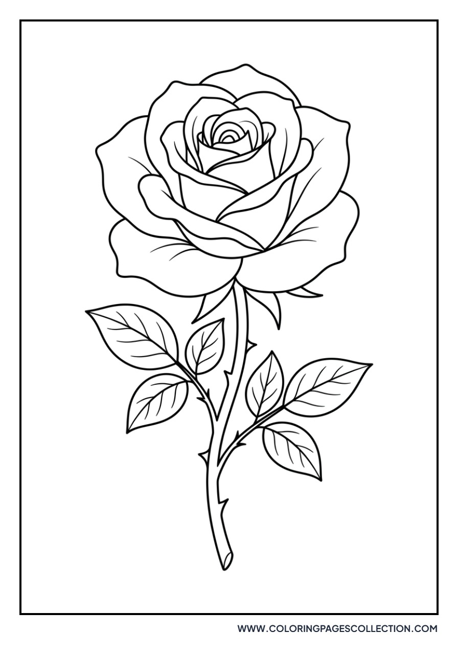 Classic Rose with Stem