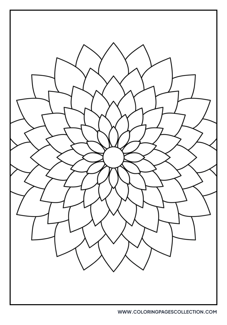 Dahlia Flower Head