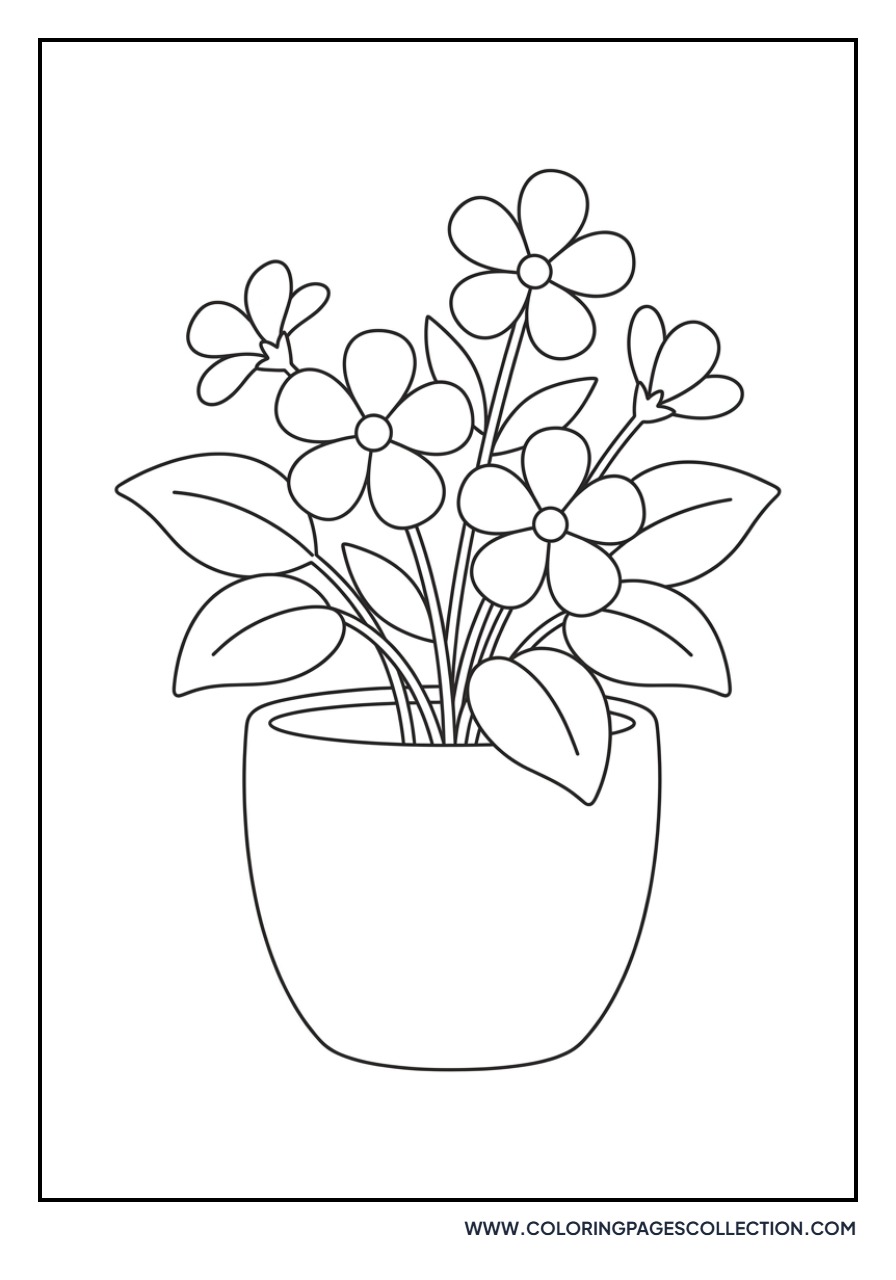 Flower in a Pot