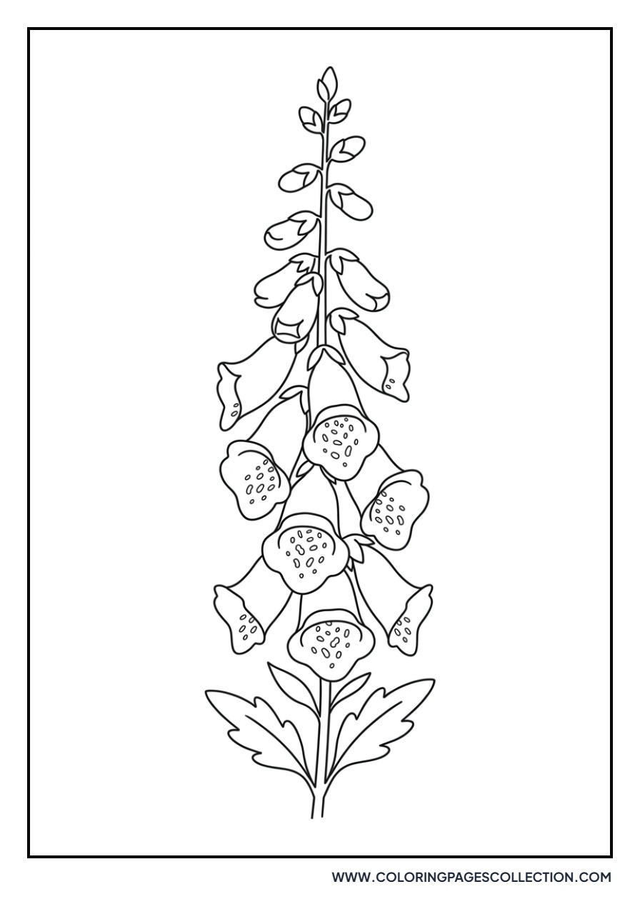 Foxglove Bells
