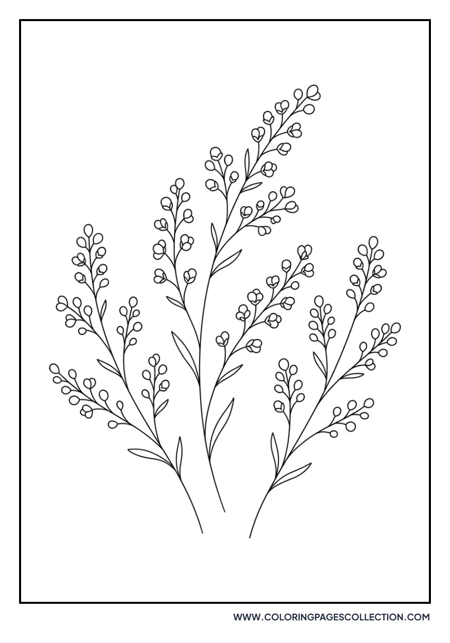Fragrant Lavender Sprigs